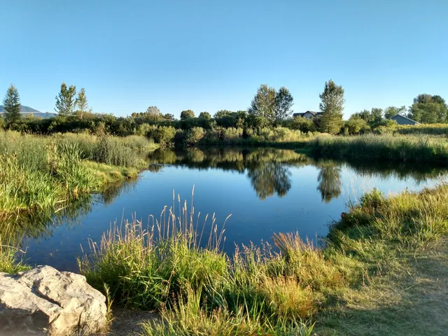 photo-1