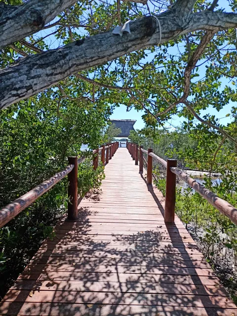 Reserva Ecologica "Sayachaltun"