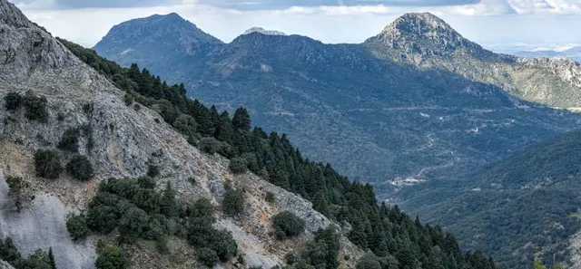 Sendero del Pinsapar