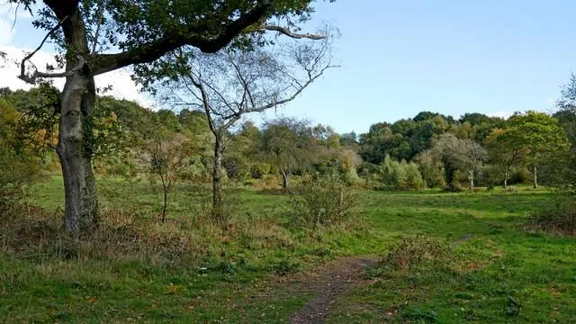 Rifle Range Nature Reserve