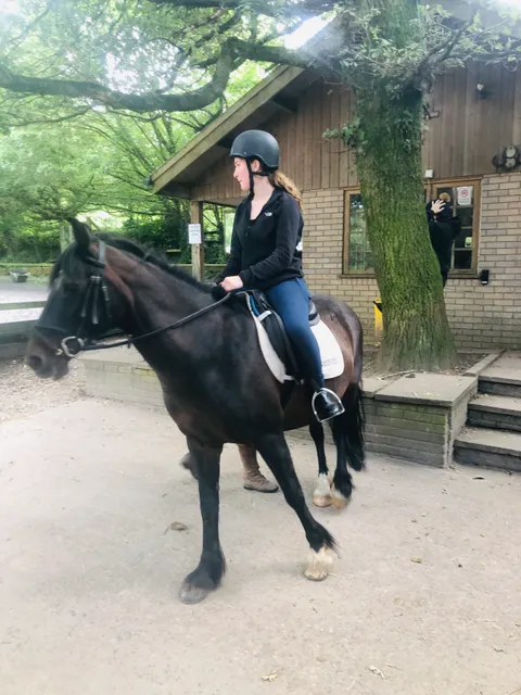 Budleigh Salterton Riding School