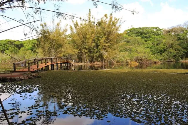 Botanical Gardens of Porto Alegre