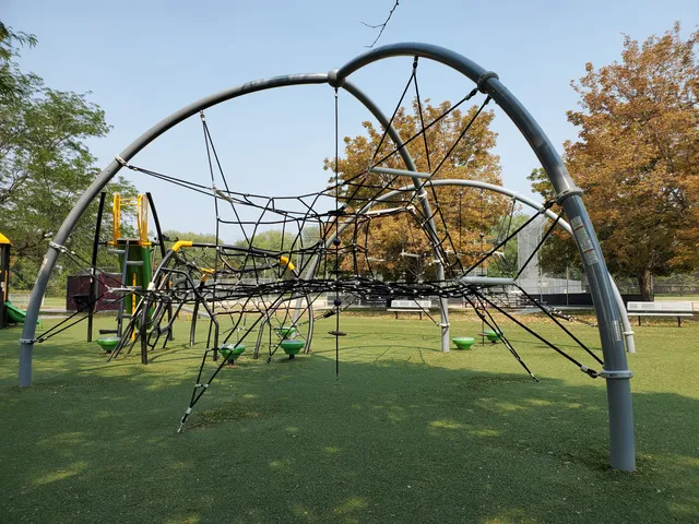 photo-1