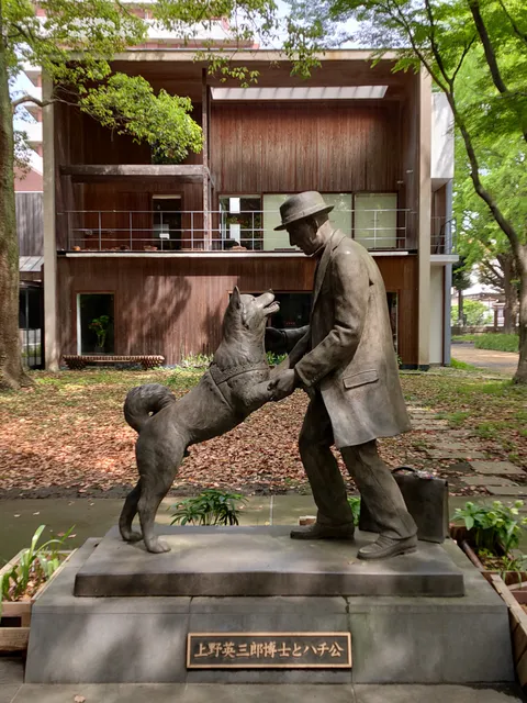 Agricultural Museum, The University of Tokyo