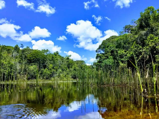 Parque Nacional do Descobrimento