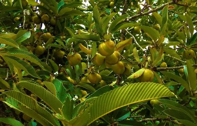 St. Lawrence Water Park