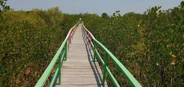 Labuhan Mangrove Education Park