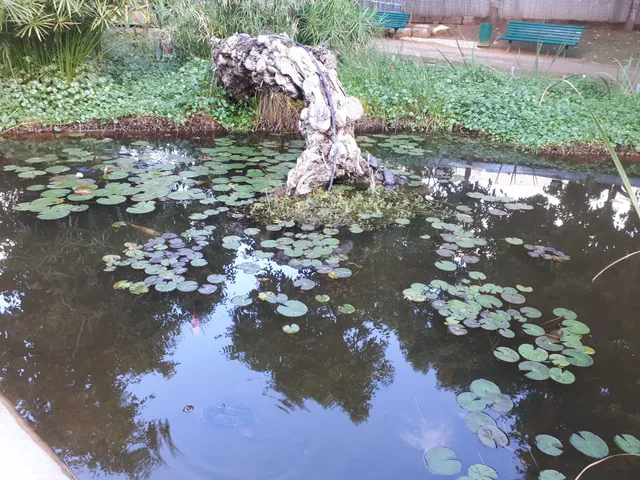 חי פארק כפר סבא