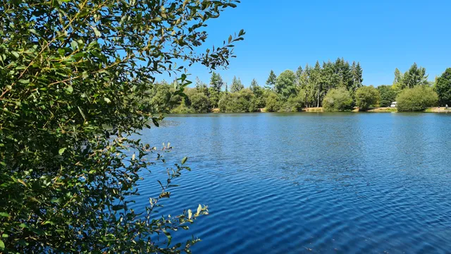 Étang de la Bodrais