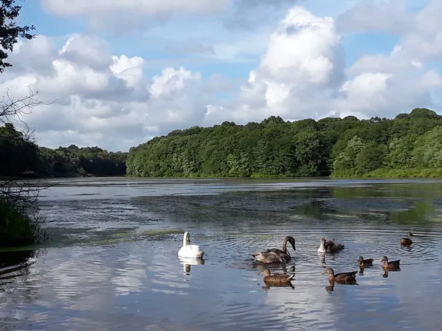 Millers Pond County Park