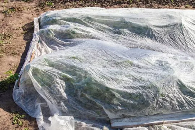 Ereño Behatokia - Sintonía Arrecifal