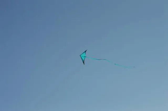 Bleu Loisirs "Bateau, Paddle, Baignade"