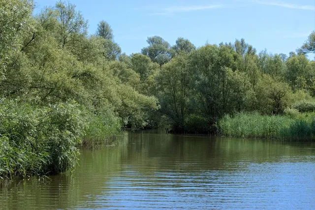 Nationaal Park De Biesbosch