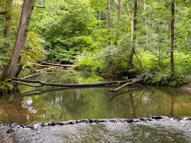 Billetal Nature Reserve