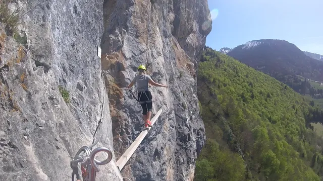 La tête de l'Éléphant