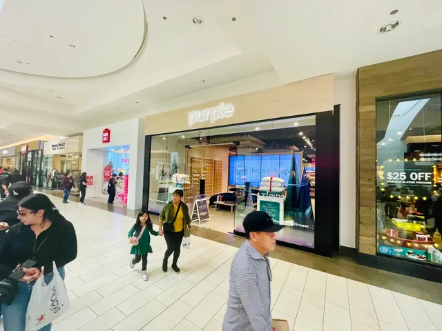 Purple - Los Cerritos Center