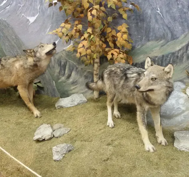 Museo Naturalistico del fiume Po