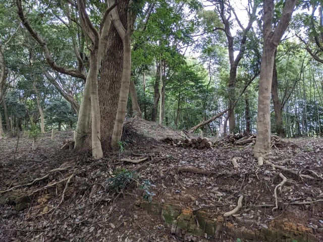 Shimazu Maruyama Tumulus Cluster