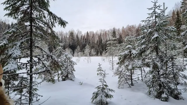 Vällamäe matkarada