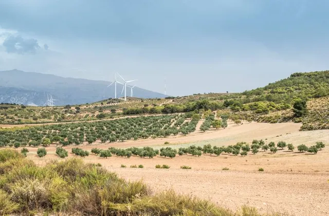 Biosphere Reserve of the Upper Gulf of California & Colorado River Delta
