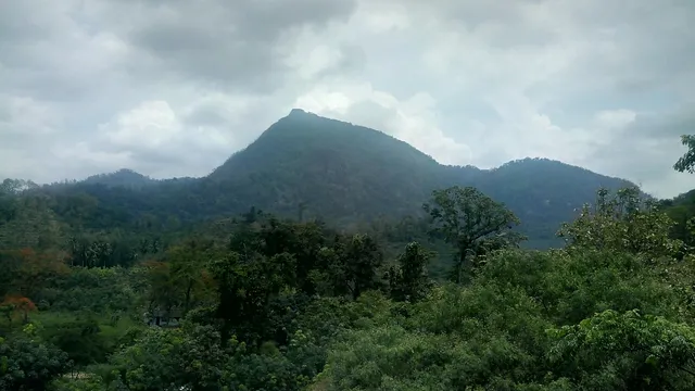 Kanyakumari Wildlife Sanctuary - Kanyakumari, Tamilnadu