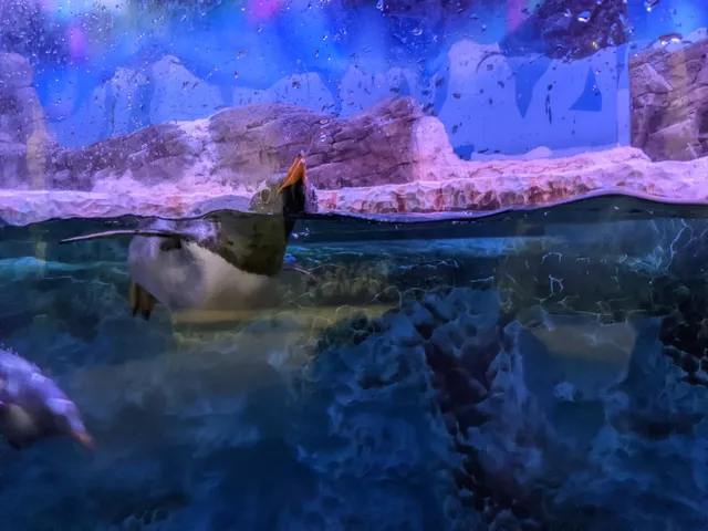 SEA LIFE Val d'Europe