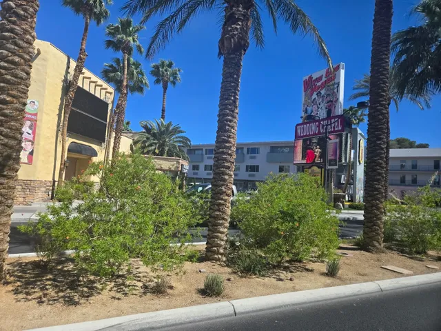The Elvis Wedding Chapel