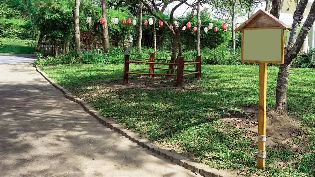Municipal Park Tank Fancho
