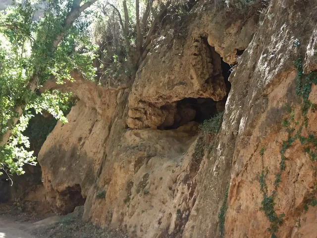 Cueva de los Riscos