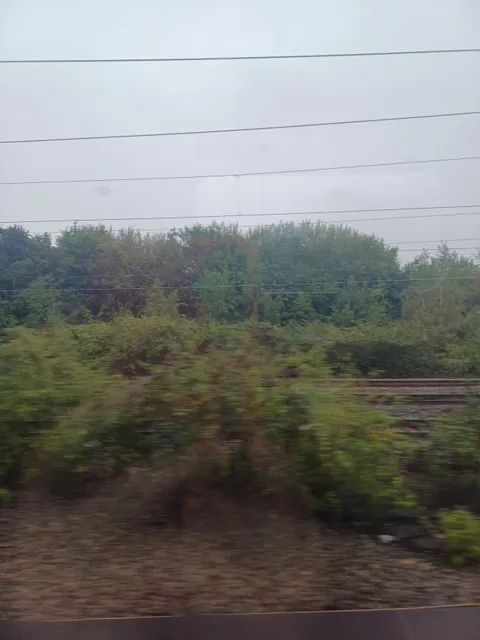 Rogiet Countryside Park