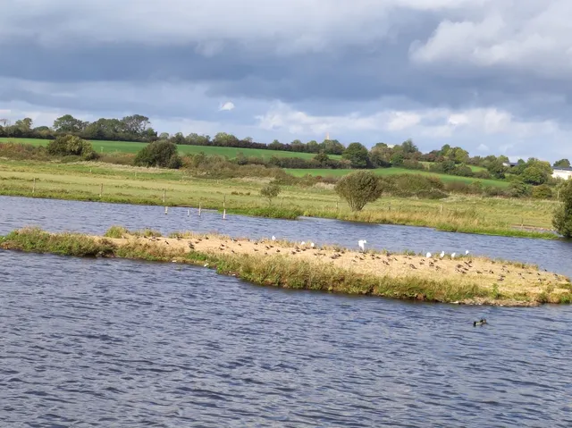 ENS des marais des Ponts d'Ouve