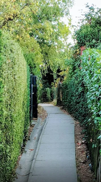 Stadtpark Am Wasserturm