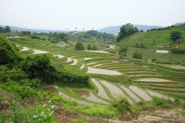 Shimo Akasaka Rice Terraces