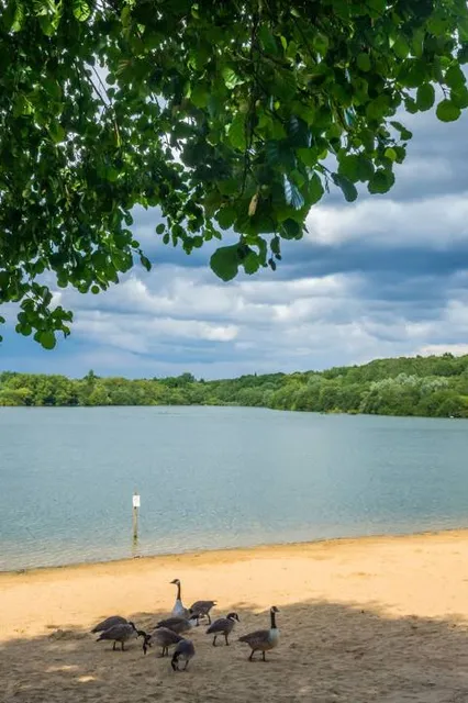 Ruislip Lido Beach