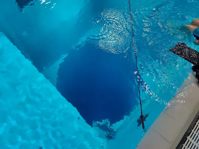 Nemo 33