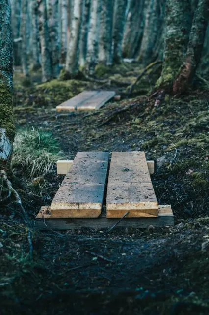 Oakley Corners State Forest