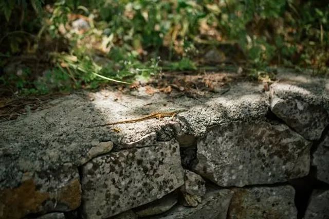 Nuraghe Santu Millanu