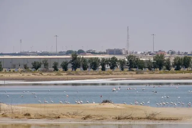 Al Wathba Wetland Reserve