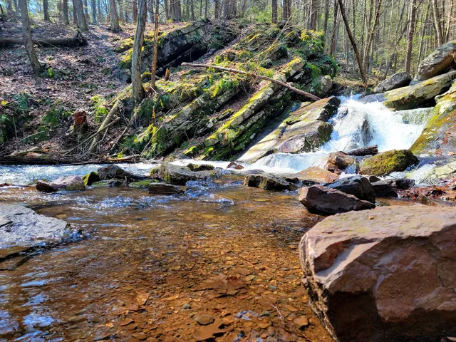 Rock Springs Picnic Area