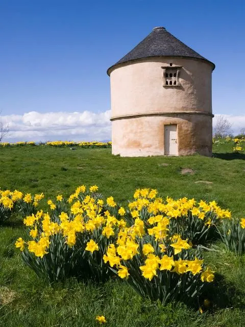 Boath Doocot (National Trust for Scotland)