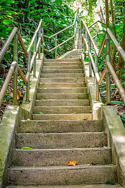 Wahiawā Botanical Garden
