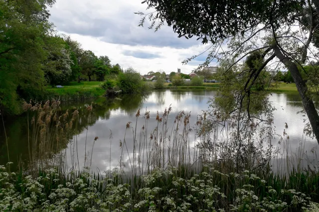 Parc de l'arbre à l'oiseau