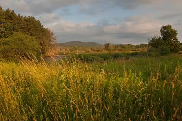Mass Audubon Canoe Meadows Wildlife Sanctuary