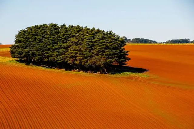 Theri Kaadu (Kudiraimoli theri)