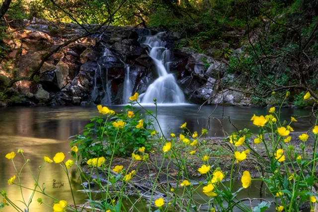 Parco Comunale di Turona