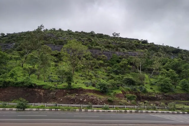 Shree Swami Samartha Kendra