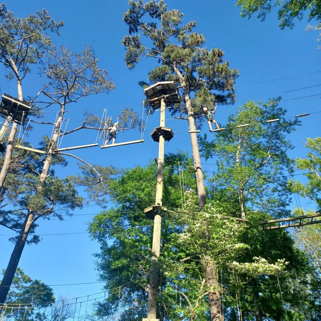 Radical Ropes Adventure Park