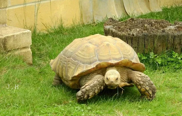 Butterfly World & Farm Park