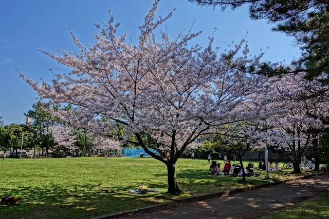 Makuharinishi Daiichi Park