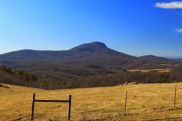 Buffalo Mountain Natural Area Preserve